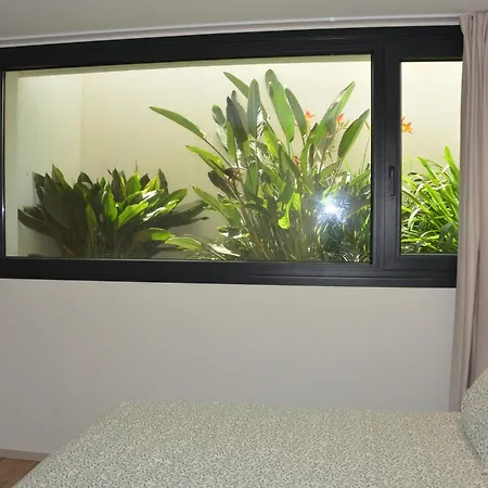 Agua Marina Nueva Del 2024 Diseno A 15 Minutos Andando De La Playa Moderna Comoda Tranquila Villa